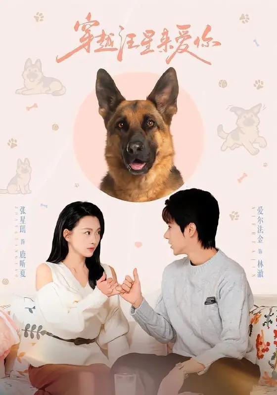 图片[1]-2026年5月15日 短剧更新目录6-PanHub