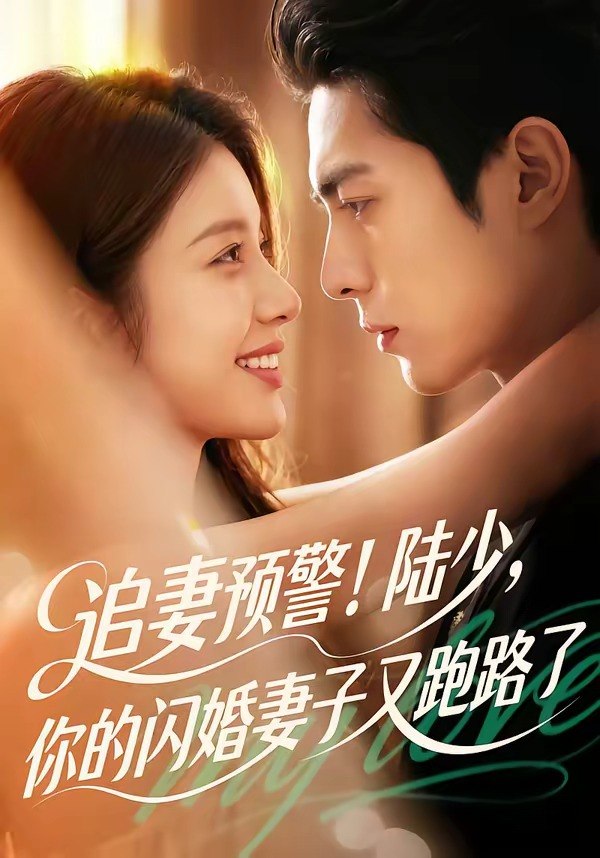 追妻预警陆少你的闪婚妻子又跑路了 (102集) | 短剧-PanHub