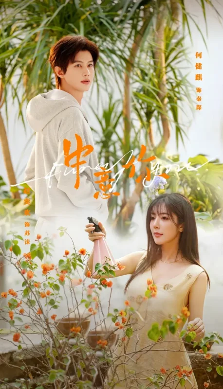 中意你 (72集) 何健麒&赵奕欢 | 短剧-PanHub