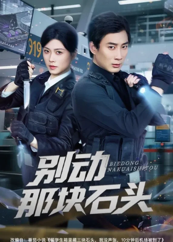 别动那块石头 (58集) 杨杰&诸玲颖 | 短剧-PanHub
