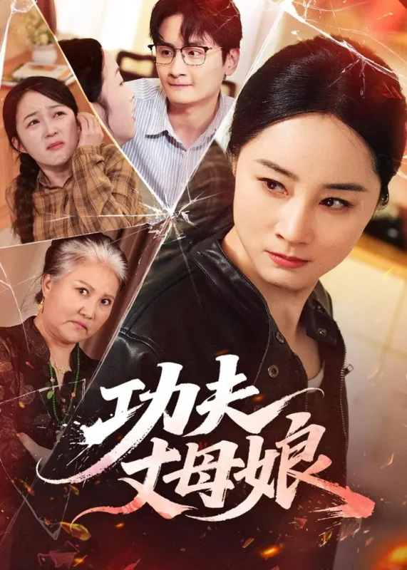 功夫丈母娘 (55集)-PanHub