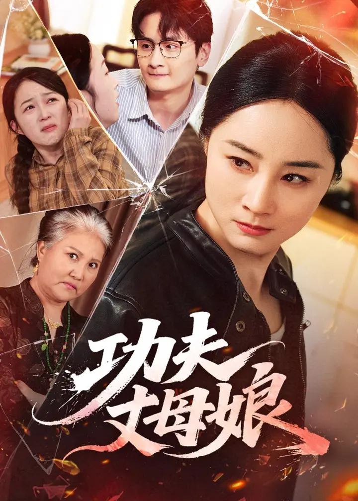 图片[1]-功夫丈母娘 (55集)-PanHub