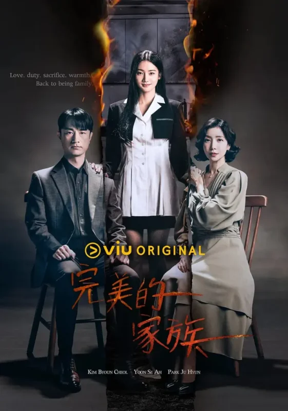 完美家庭 완벽한 가족 (2024)-PanHub