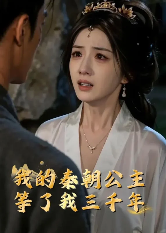 我的秦朝公主等了我三千年 (38集) Ai短剧-PanHub