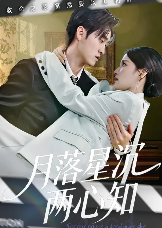 月落星沉两心知 (40集) 安彤&舒金铸 | 短剧-PanHub