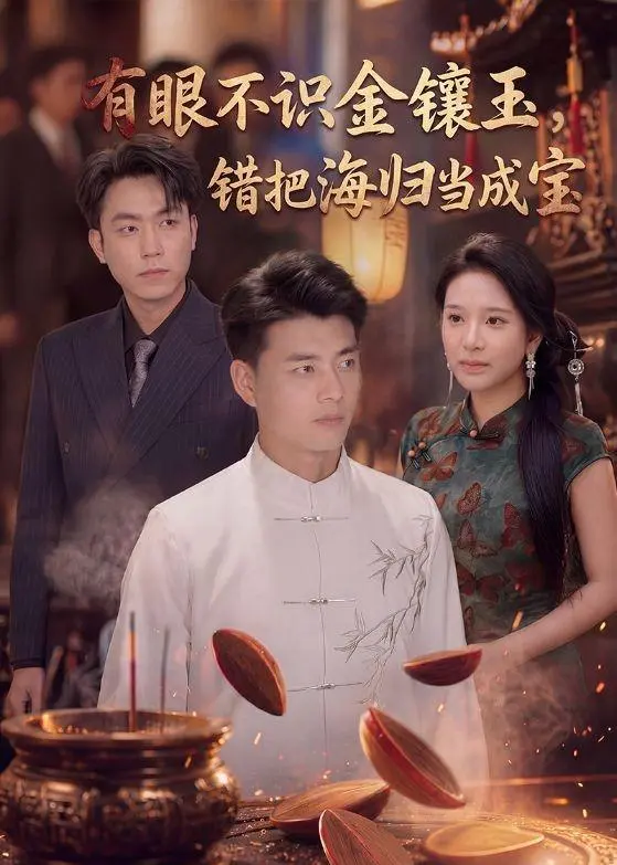 有眼不识金镶玉错把海归当成宝 (80集) 李进源&华越 | 短剧-PanHub