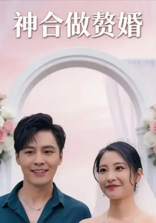 图片[1]-神合做赘婿（90 集）庄夏播 ＆ 张震-PanHub