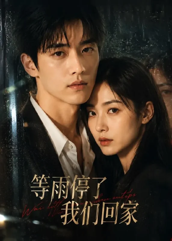 等雨停了我们回家 (10集) Ai短剧-PanHub