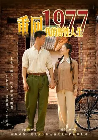 重回1977,我的野性人生(83集)【短剧】-PanHub