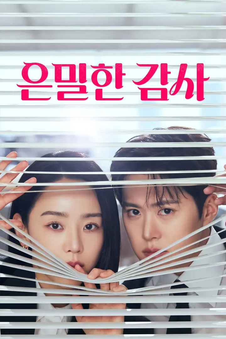 图片[1]-隐秘的监察 은밀한감사 (2026) [1080P] [内封简繁] [更至8集]-PanHub
