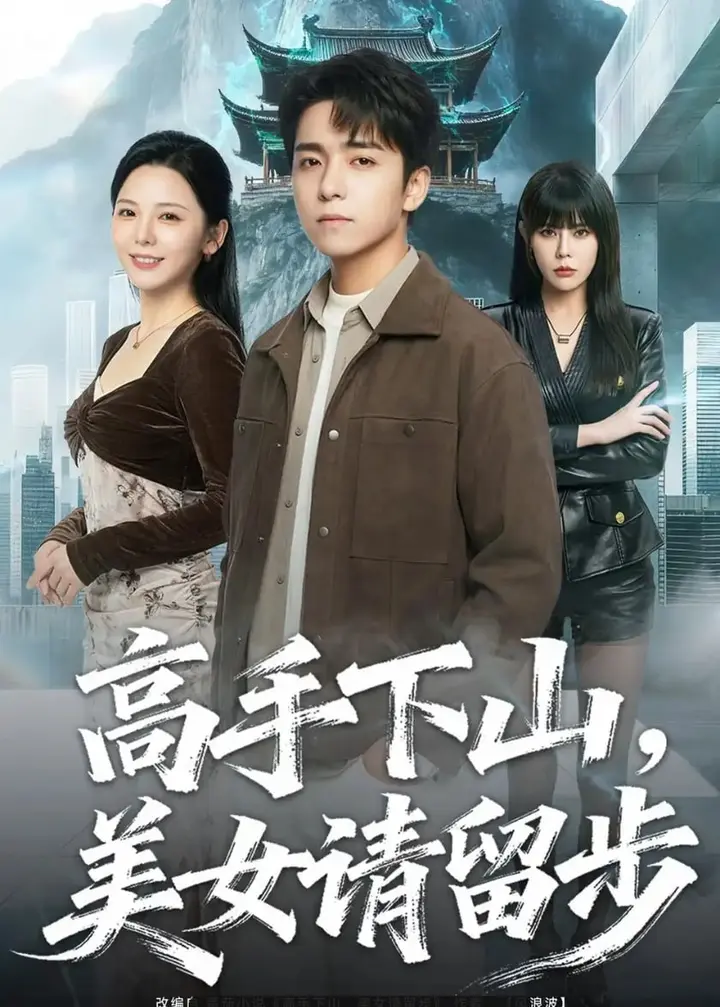 图片[1]-高手下山，美女请留步（80 集）金大钟 ＆ 李图图-PanHub