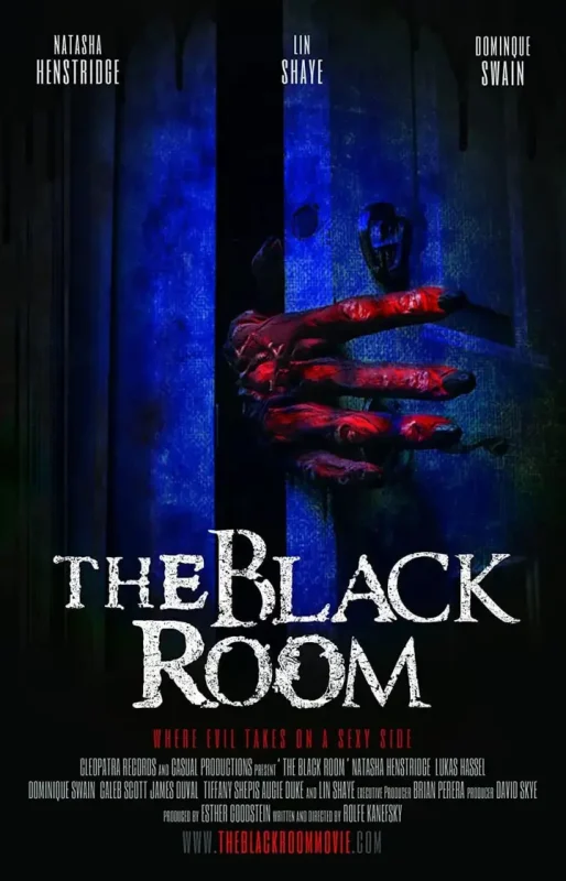 黑色的房间 The Black Room (2017)-PanHub