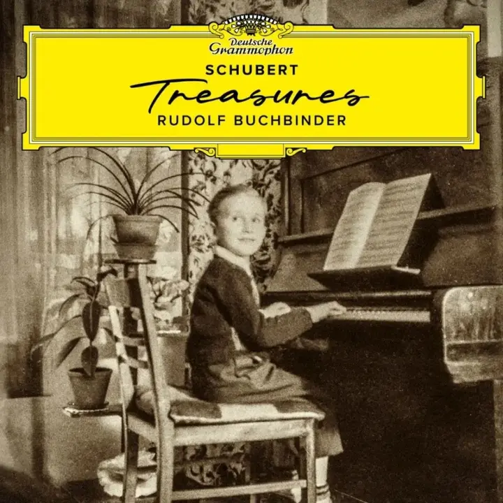 图片[1]-Schubert Rudolf Buchbinder – Treasures FLAC 24bit 96khz  qobuz-千尺浪