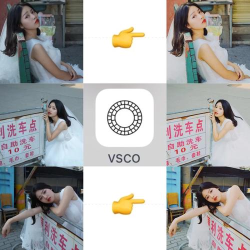 图片[1]-VSCO v480 全滤镜，最佳胶片模拟效果拍照软件，解锁会员版-千尺浪