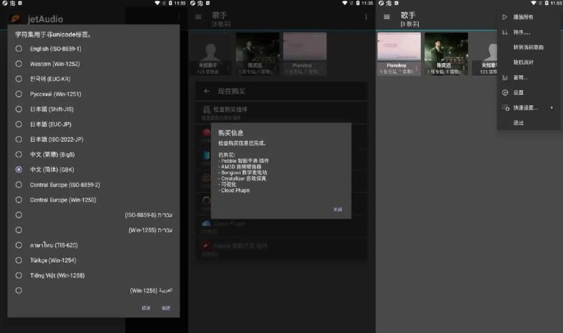 jetAudio v13.1.2 最强音乐播放器，高级多语言版-千尺浪