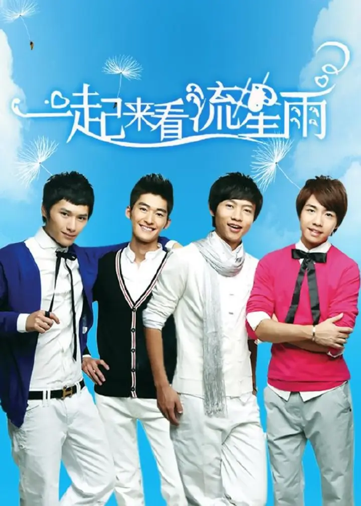 图片[1]-一起来看流星雨 全36集 国语中字 2009 1080P【国剧】-千尺浪