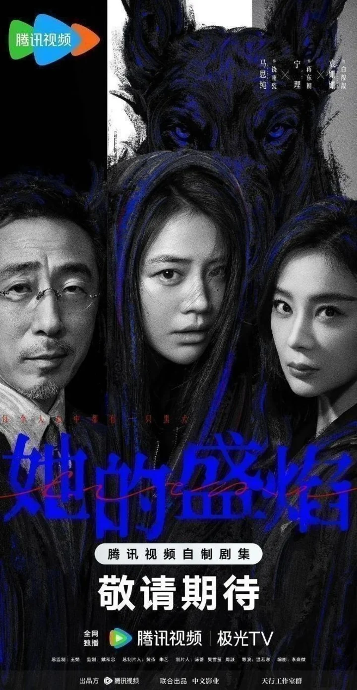 图片[1]-她的盛焰（2026）【4K.HDR.60fps】【内封简中】【30集全】【剧情】【马思纯/宁理】-千尺浪