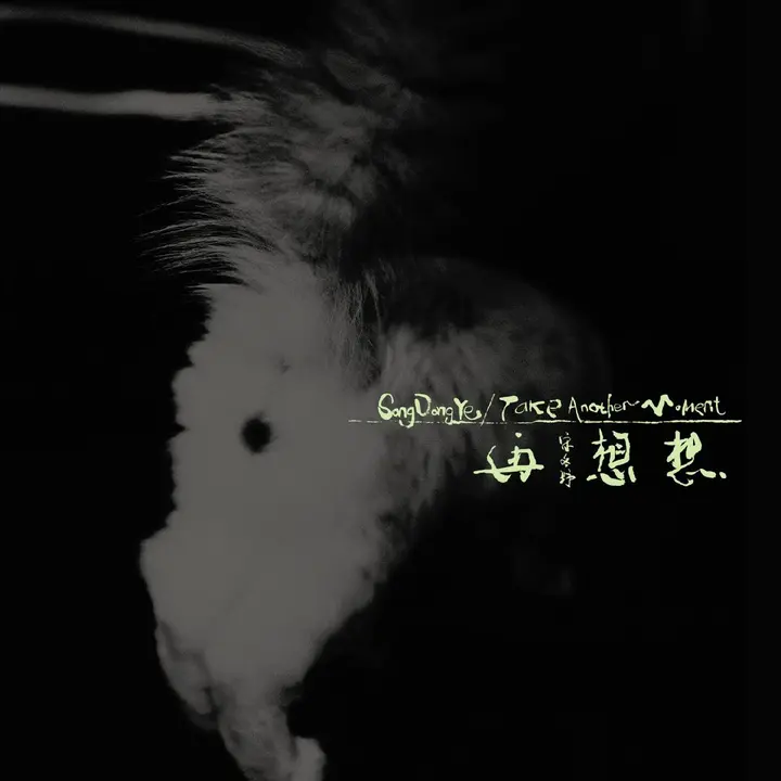 图片[1]-宋冬野 再想想 Take Another Moment – 2026-06-29 44.1kHz 16bit FLAC Qobuz-千尺浪