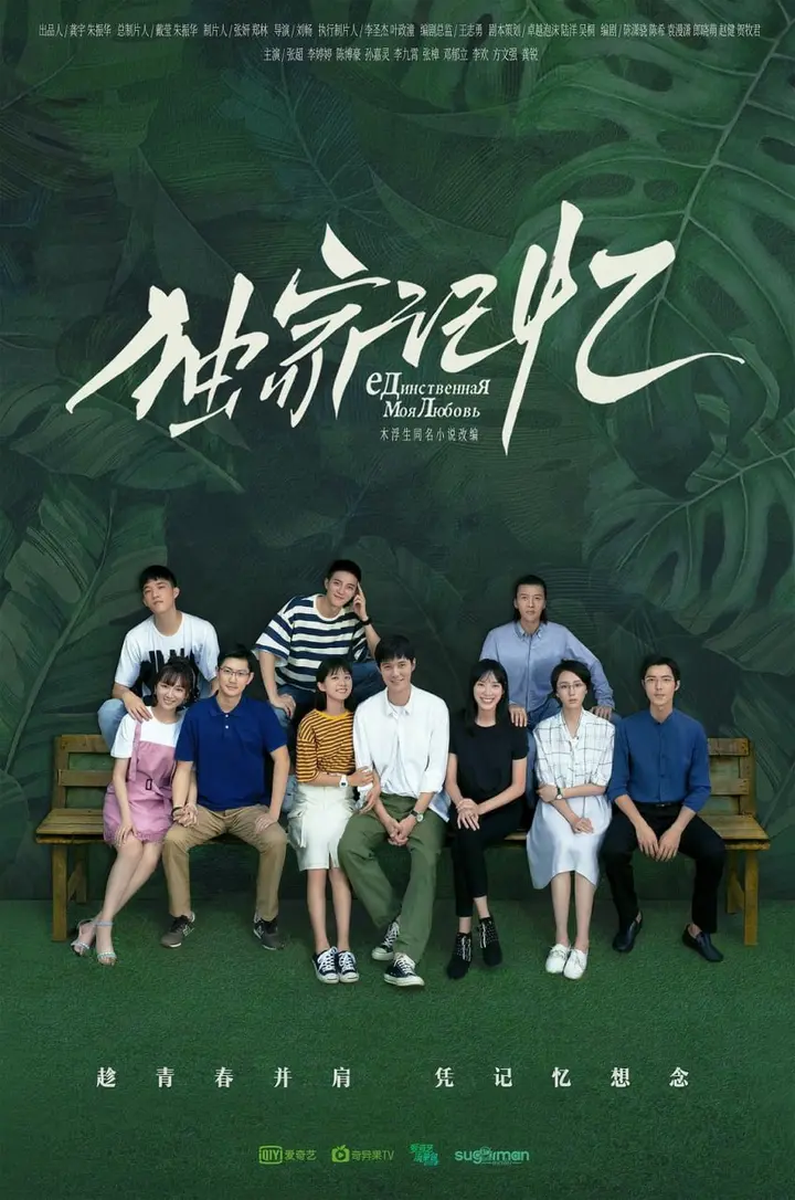 图片[1]-独家记忆 全24集 国语中字 2019 1080P【国剧】-千尺浪