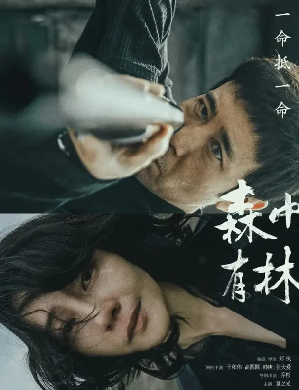电影：森中有林 (2026)-千尺浪