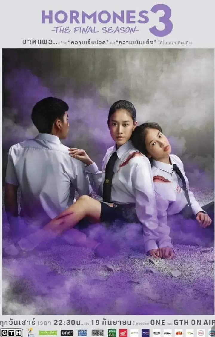 图片[1]-荷尔蒙 วัยว้าวุ่น (2013)(1-3季)(2013-2015)+电影版 剧情 / 爱情 / 同性 豆瓣8.8-千尺浪