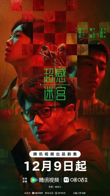 超感迷宫(2025)【20集全】【4K.SDR】【内嵌简中】【悬疑/犯罪】【段奕宏/窦骁】-千尺浪