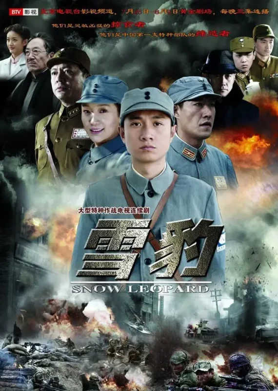 雪豹 全40集 国语中字 2010 1080P【国剧】-千尺浪