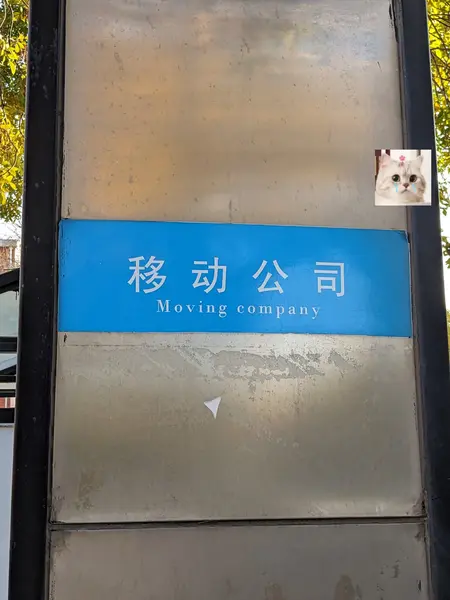 图片[1]-21天TED英语精炼团【学习资料】-千尺浪