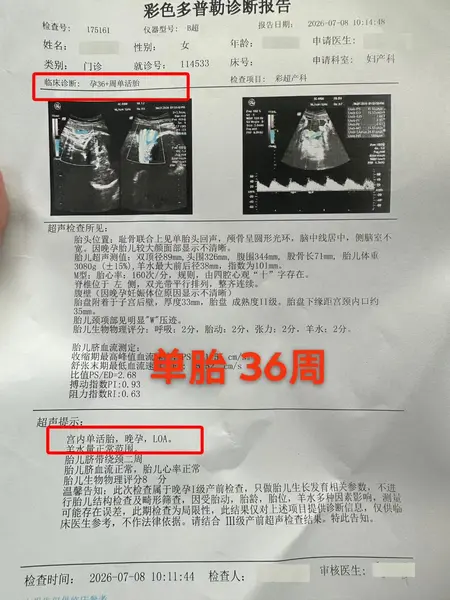 图片[1]-B站珍大户-认知世界的经济学（已完结）【学习资料】-千尺浪
