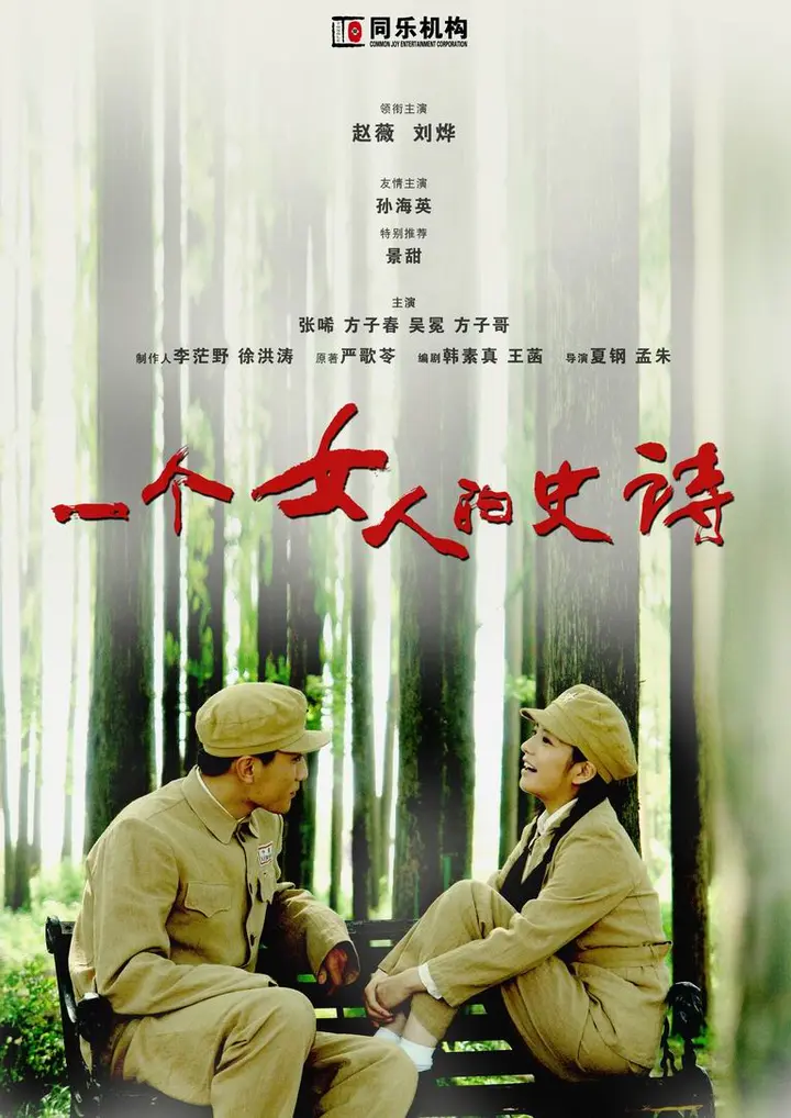 图片[1]-一个女人的史诗 全34集 国语中字 2009 1080P【国剧】-千尺浪