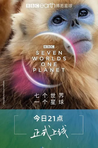 七个世界，一个星球（2019·4K HDR·BBC·纪录片）-千尺浪