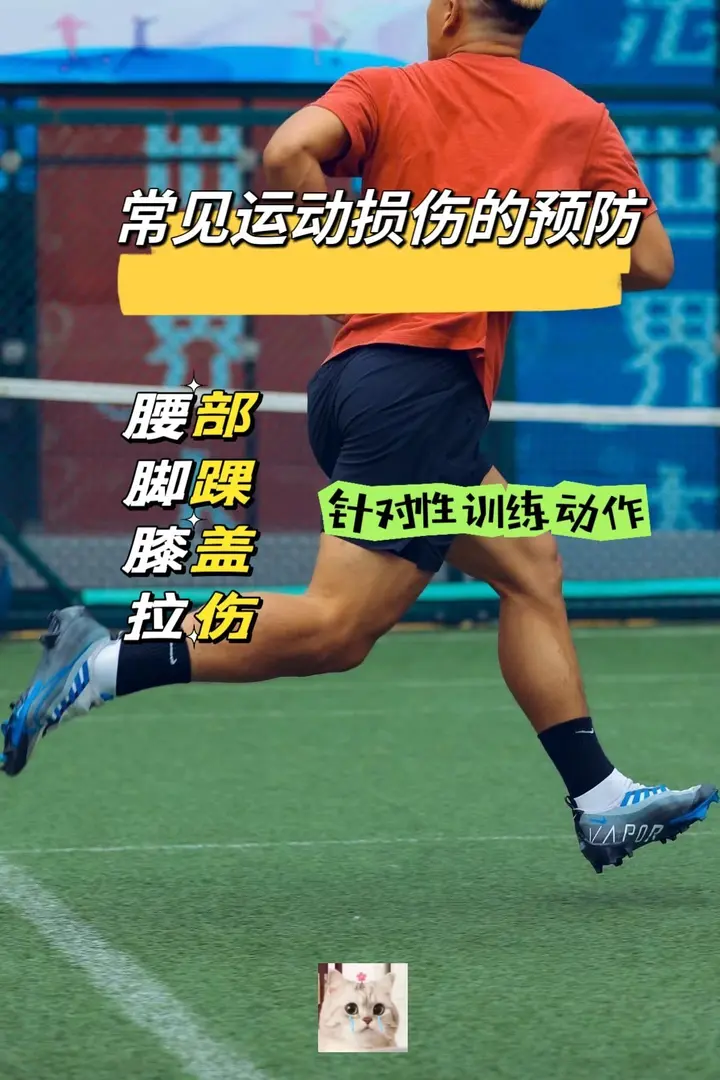图片[1]-乒乓球教程初学者从入门-发球等全方面学习【学习资料】-千尺浪