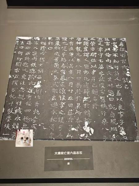 图片[1]-假日博物馆：博物馆里的中国通史1-7季全系列，沉浸式探索中华文明【学习资料】-千尺浪