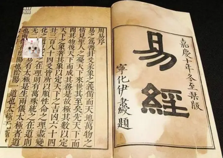 冯唐讲资治通鉴音频课，从历史智慧到现代管理的跨界解读【学习资料】-千尺浪