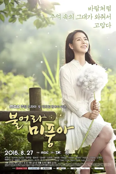 吹吧，微风啊 불어라 미풍아 (2016)-千尺浪