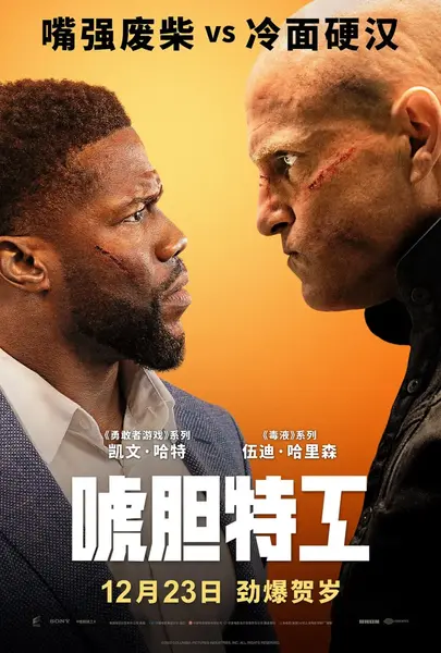 唬胆特工 The Man from Toronto (2022)