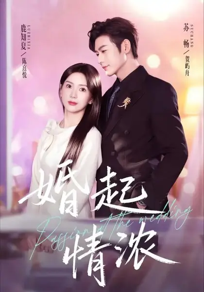 婚起情浓（99集）苏畅＆鹿知夏