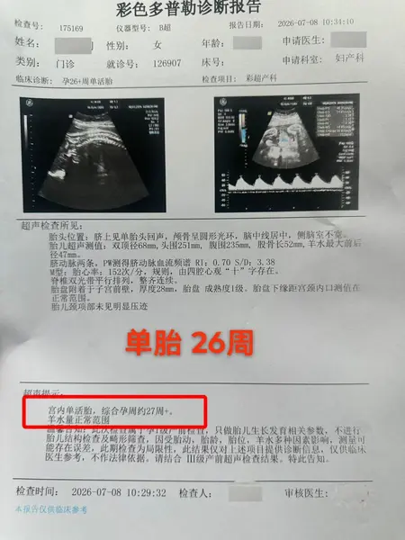 图片[1]-小茗姐姐AI高效学习与内容生产实战课【学习资料】-千尺浪