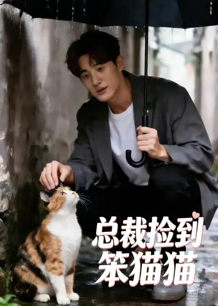 总裁捡到笨猫猫（41集）AI短剧