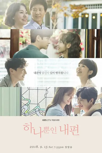 我唯一的拥护者 하나뿐인 내편 (2018)-千尺浪