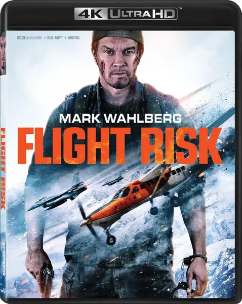 插翅难飞 Flight Risk (2025)