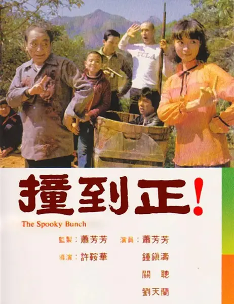 撞到正 (1980)
