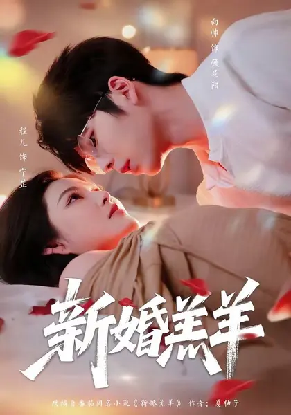 图片[1]-新婚羔羊（89集）向帅＆程儿|短剧-千尺浪