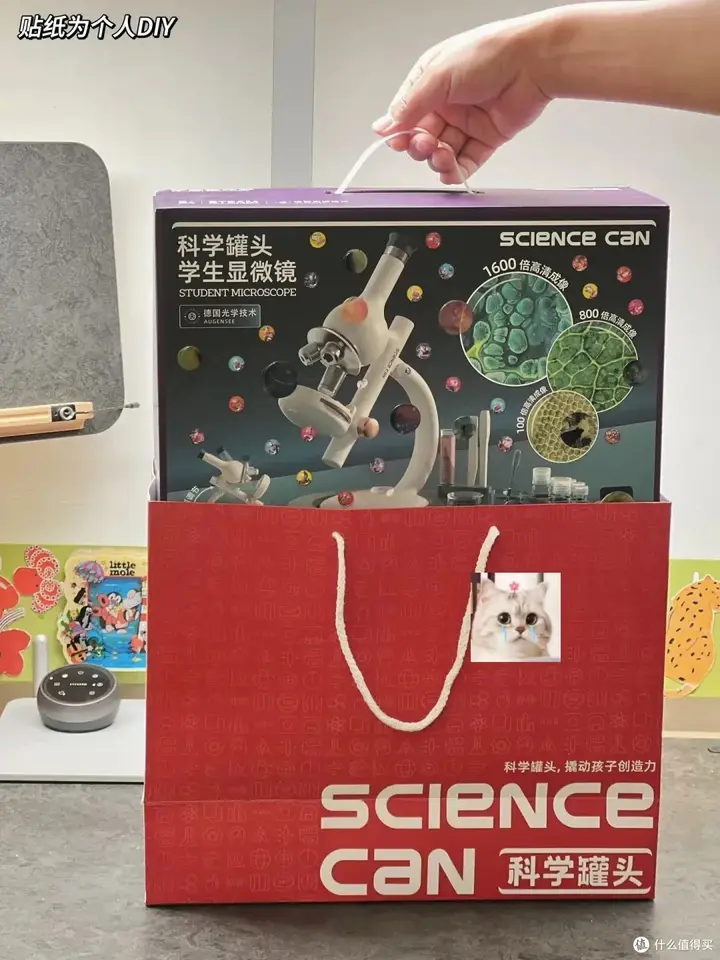 图片[1]-最强大脑100天记忆特训-右脑绘图记忆系统【学习资料】-千尺浪