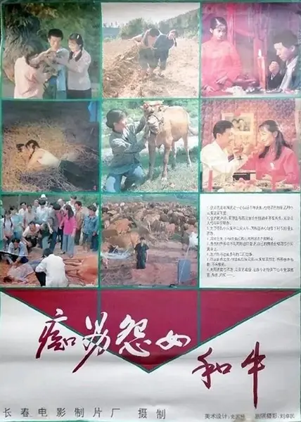 痴男怨女和牛 (1994)-千尺浪