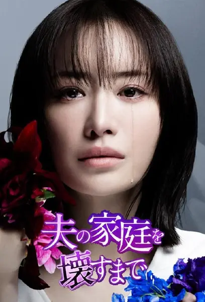 直到破坏了丈夫的家庭 全12集 中日双语 幻月字幕组 1080P【日剧】-千尺浪
