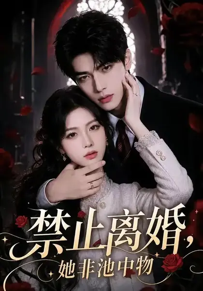 禁止离婚，她非池中物禁止离婚她非池中物（144集）AI短剧