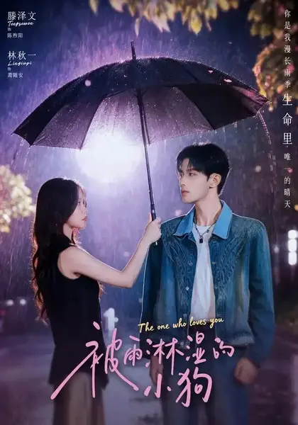 被雨淋湿的小狗（80集）林秋一＆滕泽文