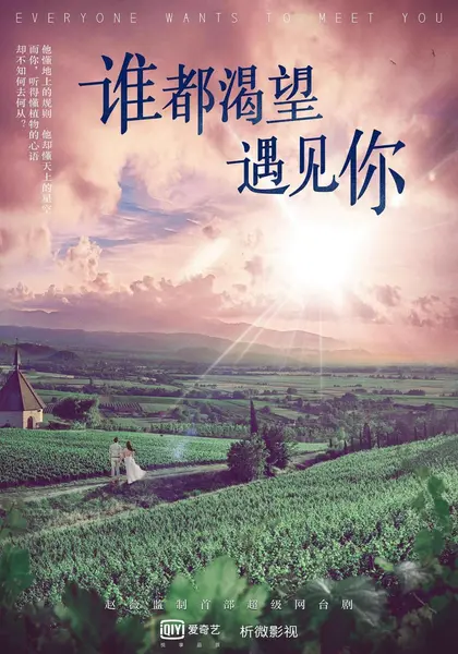 谁都渴望遇见你 全36集 国语中字 2020 1080P【国剧】