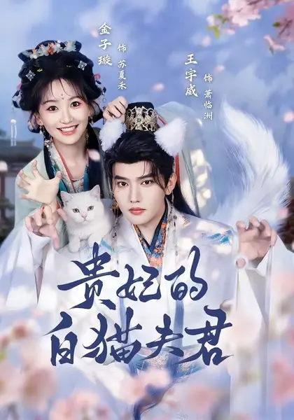 贵妃的白猫夫君（81集）王宇威＆金子璇|短剧-千尺浪